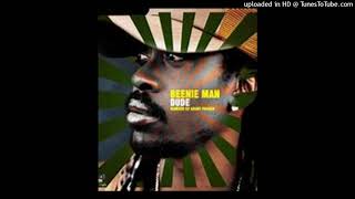 Beenie Man  Dude Spryte Remix Clean [upl. by Kerril]