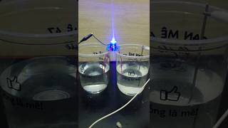 DIY Science Salt Water Conductivity Test shorts water electronic [upl. by Romney314]