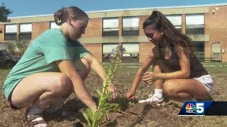 Essex High School students build pollinator garden to protect area bees birds and insects [upl. by Barbaresi839]