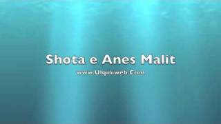 Shota Anes Malit [upl. by Ceciley]