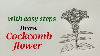 Cockcomb flower drawing easy draw cockscomb flower easy Celosia cristata plant drawing easy [upl. by Odrarebe]