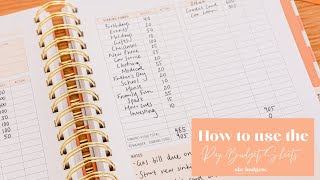 How to use the Pay Budget Sheets  The Budget Planner  Zerobased Budget  Personal Finance [upl. by Cart]