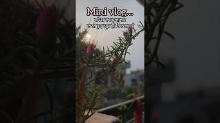 Mini vlog 🌸 shortstrendingviralyoutubeshortsminivlog [upl. by Richelle]