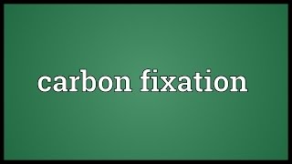 Carbon fixation Meaning [upl. by Dnalor]