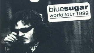 Zucchero  Live  Rock In The Park 23051999 BlueSugar Tour [upl. by Adahs]