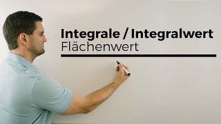 Integrale Integralwert Flächenwert im Sachzusammenhang  Mathe by Daniel Jung [upl. by Desmond411]