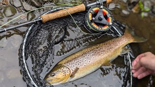 Dollaghan on the river bann [upl. by Oknuj]