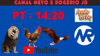 RESULTADO AO VIVO ROGERIO E NETO JB  PT  19112024 [upl. by Egor]