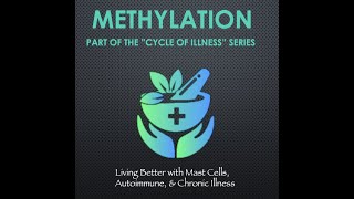 Methylation  Part of the Cycle of Illness Series The COMPLETE review on Methylation Master Guide [upl. by Hedelman]