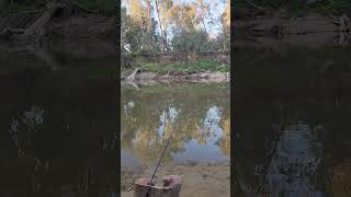 goulburn river Victoria riverside Australia fishing camping vanlife [upl. by Richmal300]