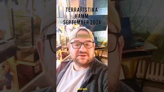 Terraristika Hamm 2024 shorts spinne terraristik [upl. by Noillid]