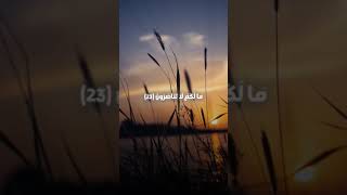 ١٢ سبتمبر ٢٠٢٤ [upl. by Malamud]