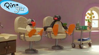 Pingu is on Vacation 🐧  Pingu  Official Channel  Cartoons For Kids [upl. by Bettencourt]