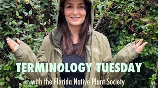 TERMINOLOGY TUESDAY 🌿 Forms Varieties amp Subspecies [upl. by Eliam]