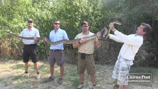 The Python Hunters capture Nagini the notorious 5m Python [upl. by Arrol]