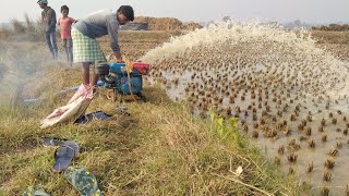 Fishing with Cd Original power diesel engine water pump  Crazy boys pumping water for fishing [upl. by Alie157]