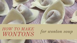 How to Make Wontons for Wonton Soup [upl. by Anaihs]