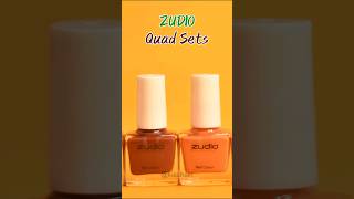 Zudio Quadset Nail Polish swatches  Full video LIVE zudio liveswatch nailpolish nailp [upl. by Dieter914]