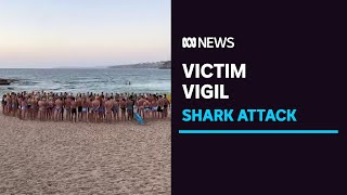 No sign of killer shark as Sydney beaches reopen  ABC News [upl. by Craggy]