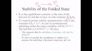 Protein stability at folded state [upl. by Torbert]