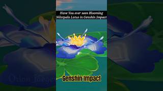 Discover the Secret of Lotus genshinimpact ytshorts [upl. by Ettenoitna]