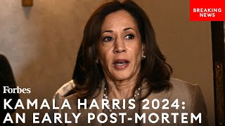 This Is The Moment In The 2024 Presidential Contest When Kamala Harris Was Doomed Dem Strategist [upl. by Sadira]