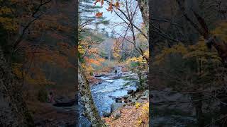 Stubbs Falls A Hidden Gem in Arrowhead ontario canada [upl. by Judenberg]