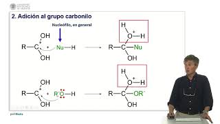 Reacciones de esterificación   UPV [upl. by Nadda]
