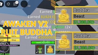 Awaken V2 Fruit Buddha  Blox Fruit Gameplay [upl. by Ennaesor27]