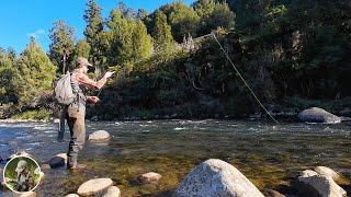 Incredible late season Fly Fishing in New Zealand [upl. by Alam]