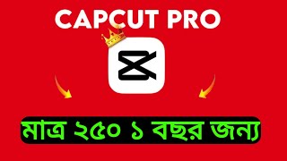 Capcut Pro 2024  Capcut Premium Free  Capcut no ads 2024 [upl. by Pouncey]