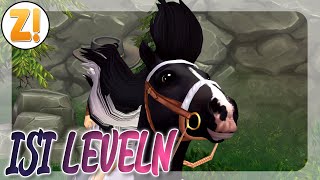 ENDLICH DOPPEL STAR COINS  ISLÄNDER LEVELN 🐴 Server 16  Star StableSSO [upl. by Atirb]