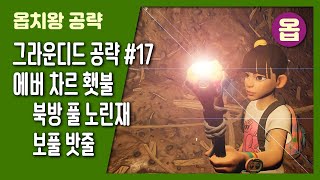 그라운디드 17 북방풀노린재 amp 에버 차르 횃불  옵치왕 [upl. by Kris]