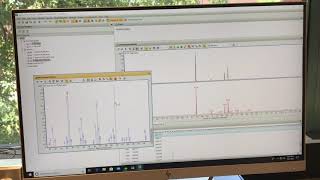 GC MS Data Analysis [upl. by Nirtak]