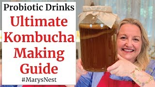 Beginners Guide to Kombucha Making  How to Make Kombucha at Home [upl. by Lanta]