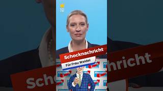 😱SCHOCKNACHRICHT😱 politik news scholz spd afd weidel merz bundestag cdu lindner csu [upl. by Llessur]