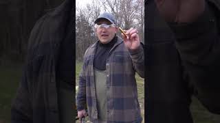 500 Bushwhacker Vs Grizzly Bear Kentucky Ballistics [upl. by Joon101]