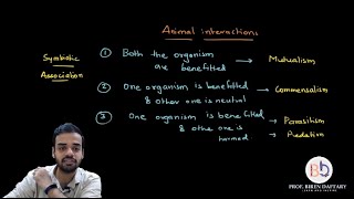 Mutualism Commensalism Parasitism amp predation mutualism commensalism parasitism predation [upl. by Nichy918]