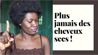 COMMENT HYDRATER EFFICACEMENT DES CHEVEUX CRÉPUS  PLUS JAMAIS LES CHEVEUX SECS [upl. by Imoyaba]