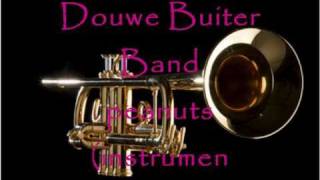 Douwe Buiter band  Peanuts instrumentaal [upl. by Judy580]