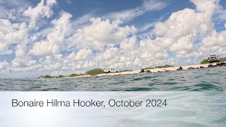 Bonaire Hilma Hooker 2024 [upl. by Onabru349]