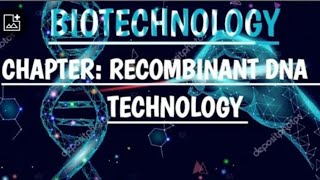 DNA SEQUENCING DIDEOXYNUCLEOTIDE CHAIN TERMINATION METHOD CL 12 CBSE BIOTECHNOLOGY [upl. by Ressay]