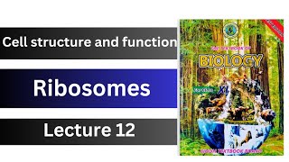 ribosomes  cell structure and function  class 11 biology Sindh board new book [upl. by Htor]