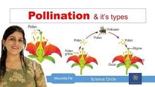 Self amp Cross Pollination  Sexual Reproduction in Plants II Agents of Pollination II [upl. by Bonacci]