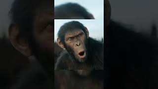 Kingdom of the Planet of the Apes l Chaos in the JungleA Girl vsan Army of Apes l Official Trailer [upl. by Cartwright949]