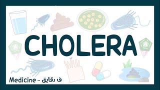 Cholera  vibrio cholerae شرح عربي [upl. by Eislel77]