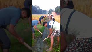 safai ho rha hai छठ पूजा में 👌 shorts video new status ROSHANRAJ1 short trending viral [upl. by Bedell497]