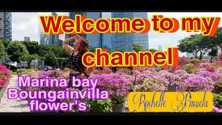 SA AKING PUSOIts a nice songMARINA BAYBOUGAINVILLA FLOWERS [upl. by Chandler]