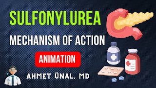 🎬 SULFONYLUREAS MECHANISM OF ACTION ON BETA CELLS  MNEMONIC ANIMATION [upl. by Urita]