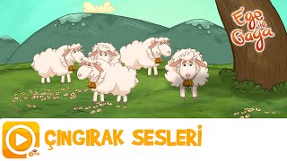 Ege ile Gaga  Çıngırak Sesleri [upl. by Benji]